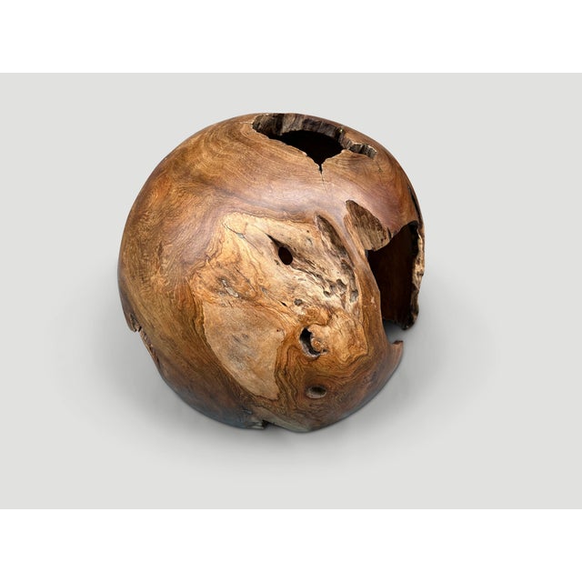 Contemporary Andrianna Shamaris Hollowed Out Teak Wood Organic Sphere For Sale - Image 3 of 18