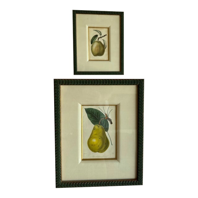 Late 19th Century Vintage Fruit Print, Pear & Apple, Framed - Set of 2 For Sale
