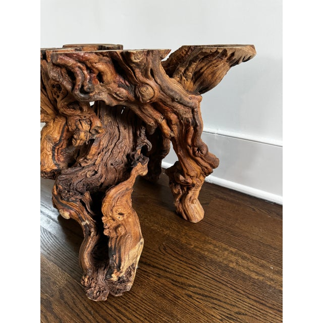 Contemporary Vintage Burl Root Wood Coffee or Side Table With Glass Top For Sale - Image 3 of 10