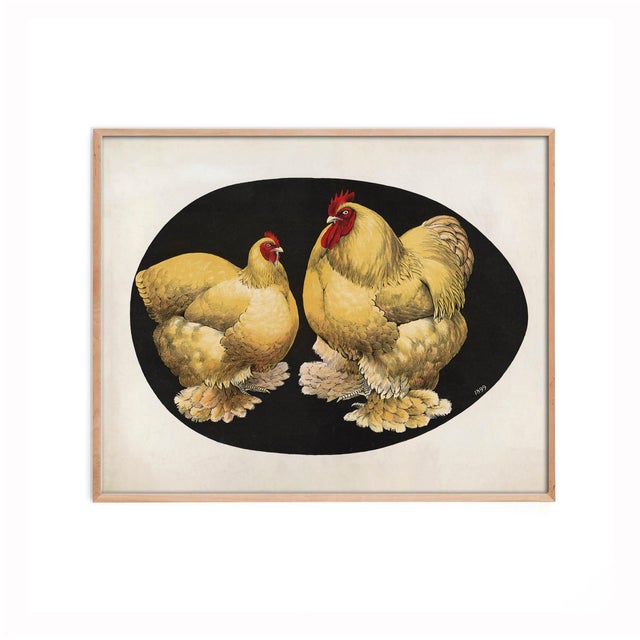 Ships in 1 – 3 days. Antique chicken print, originally illustrated by Louis P. Graham in 1899 for Keystone Publishing —...