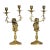 19th Century Pair of Brass Lion Candlesticks from Amsterdam For Sale