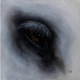 Motitus by Che Leviathan | Oil on Artefex ACM panel close-up of an animal's eye For Sale