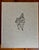 1983 First American Edition "Masterpieces of Italian Drawing" Linen Hardcover For Sale - Image 12 of 12