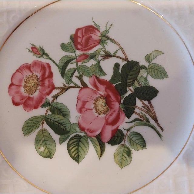 Ceramic Vintage Plates, 1960s, Set of 2 For Sale - Image 7 of 13