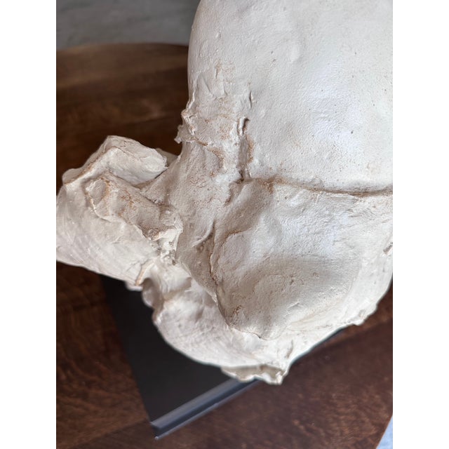 Cream Beautiful David Bryce Original Clay Sculpture “Dance of Delight” Signed For Sale - Image 8 of 12