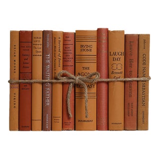 Decorative Books - Vintage Canyon Book Bundle - 1 Foot of Orange Books For Sale