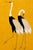 Japanese Japanese Crane Diptych, Oversized Gold Wall Art Collection, 16" X 24" For Sale - Image 3 of 9