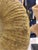 Prehistoric Ammonite Fossil on Iron Stand For Sale - Image 6 of 10