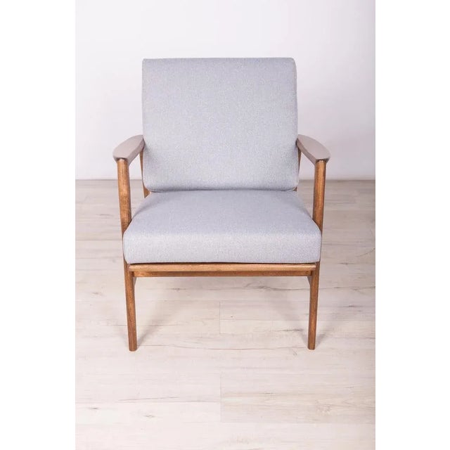 Model 300-139 Armchair from Swarzędz Factory, 1960s For Sale - Image 4 of 13