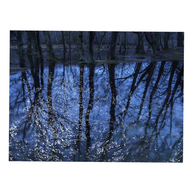 Ellie Davies, Seascapes 7, 2020, Print For Sale