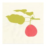 Image of Bright Pomona Fruit 1, Unframed Artwork For Sale