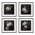 Set of 4 - Art Wall Installation 40" X 40" - 'Blossoming Flowers' - Limited Edition Botanical Photograph Prints For Sale