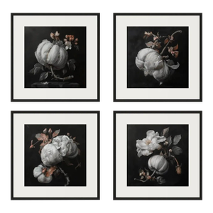 Set of 4 - Art Wall Installation 40" X 40" - 'Blossoming Flowers' - Limited Edition Botanical Photograph Prints