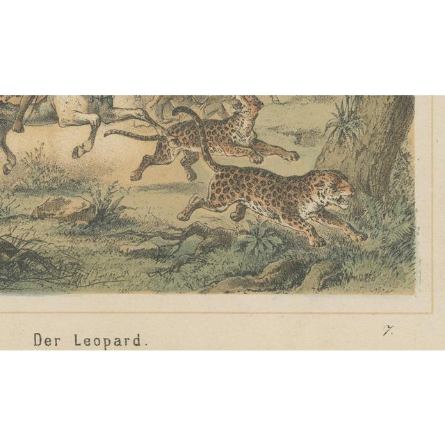 Paper German School, Leopard Hunt in the Jungle Wildlife Adventure Lithograph, 1883, Lithograph For Sale - Image 7 of 9