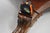 Antique American Empire 54" Square Mahogany Paw Foot Pedestal Base Dining Table For Sale - Image 18 of 18