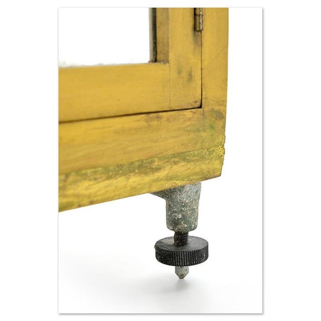 Small Wooden Display Case with Yellow Patina For Sale - Image 5 of 6