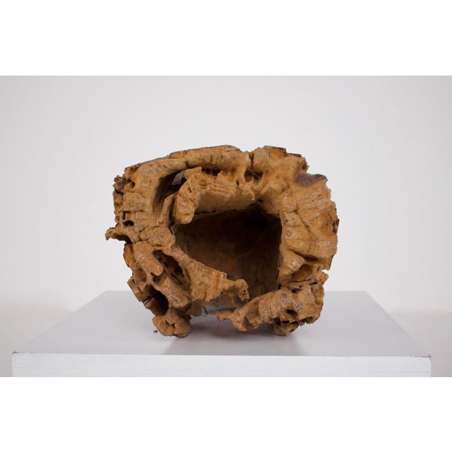 Burmese Artist, Crowned Buddha Shan / Ava Figure, Wood For Sale - Image 13 of 14