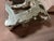 Plastic Sequoia Coffee Table Silver Leaf Table For Sale - Image 7 of 11