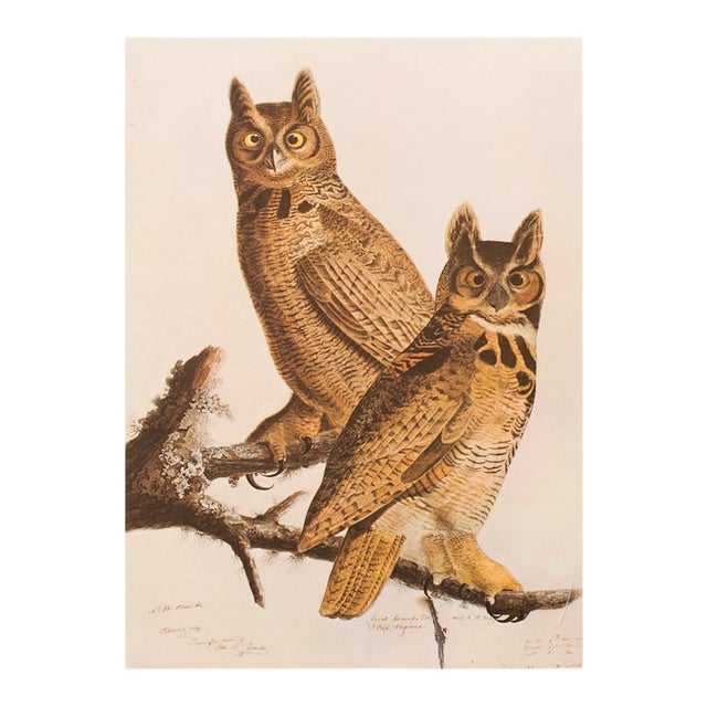 1966 Vintage Farmhouse Cottage Print "Great Horned Owl" After John James Audubon For Sale