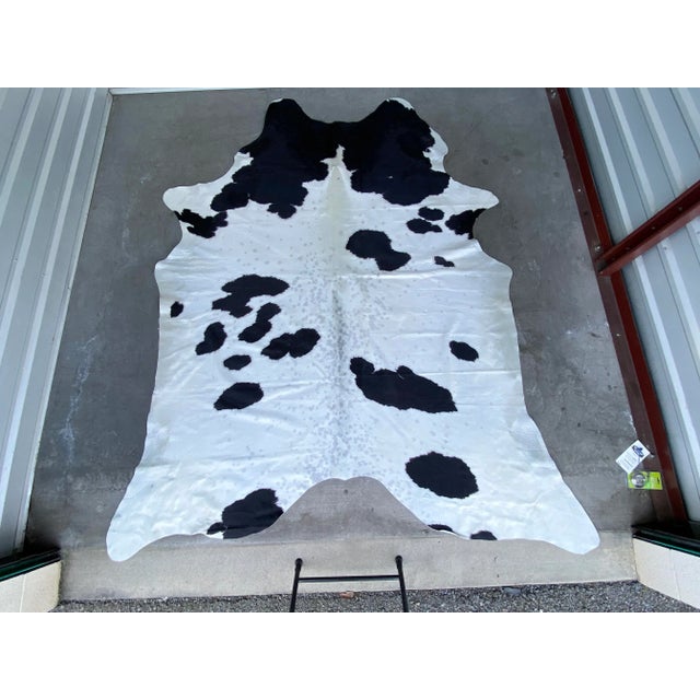 Early 21st Century Extra Large Natural Champagne & Black Brazilian Cowhide 94" X 112" For Sale - Image 5 of 5