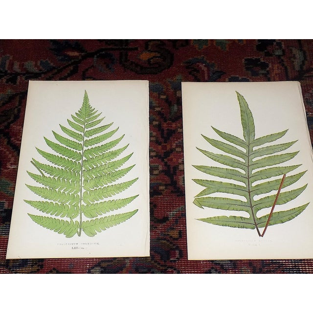 This set of twelve (12) authentic 19th century engravings on wood (sometimes referred to as woodcuts; sometimes...