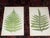 This set of twelve (12) authentic 19th century engravings on wood (sometimes referred to as woodcuts; sometimes...