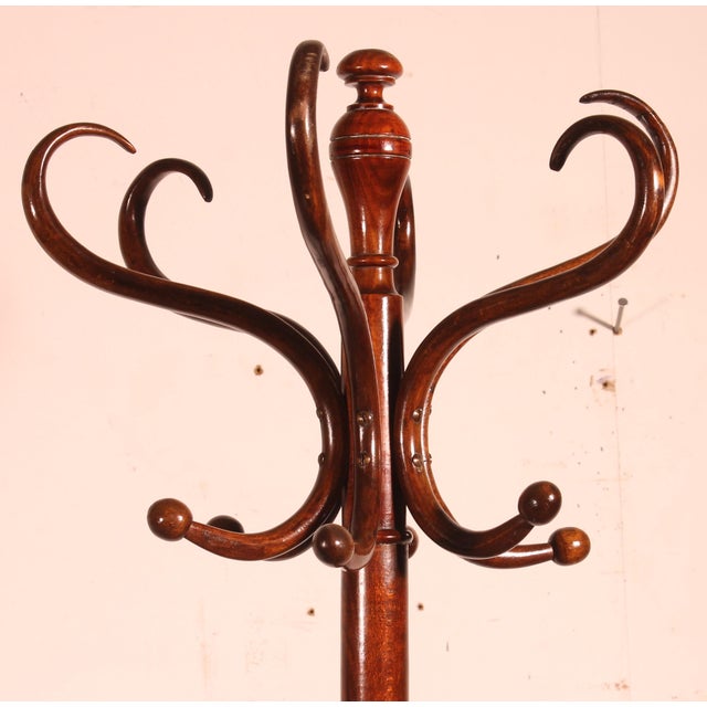 Early 20th Century Art Nouveau Parrot Coat Rack For Sale - Image 6 of 10