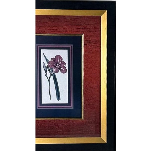 Vintage Framed Stylized Red Lily Botanical Lithograph Prints Pair For Sale - Image 4 of 12