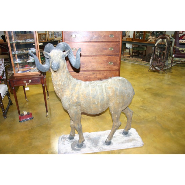 This full size, carved from wood, ram has a great history to him. He began in Cripple Creek, CO over 100 years ago during...