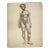 Vintage Nude Pencil Drawing of a Black Female 1940s For Sale