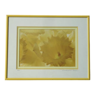 “Daffodils” by Richard W Carson Late 20th Century Original Photograph For Sale
