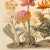 13" X 9" 'Garden Flowers' Botanical Print, 'Hortus Floridus' Style, Unframed For Sale - Image 6 of 7