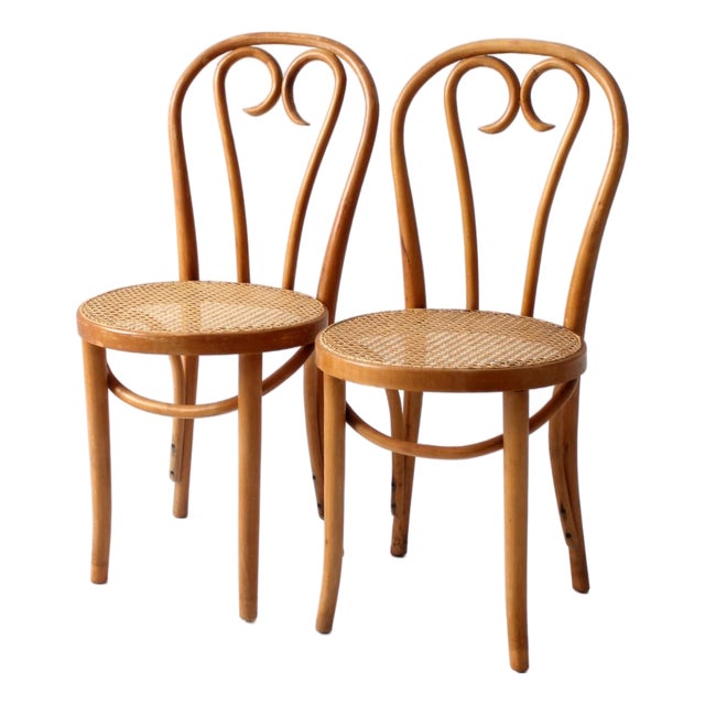 Mid-Century Bentwood Chairs Pair For Sale