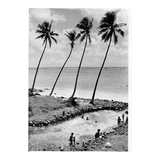 1973 Samoa Tropical Island Black & White Photograph For Sale