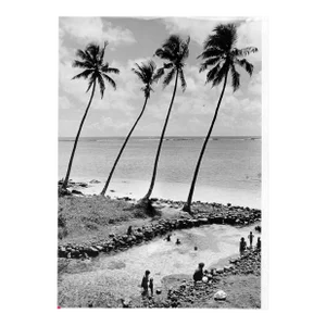 1973 Samoa Tropical Island Black & White Photograph