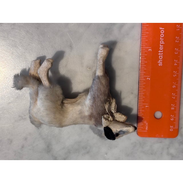 1900 - 1909 1900s Borzoi Bru Kestner Jumeau Bleuette Fashion Doll Germany Label 4” Fur Salon Dog For Sale - Image 5 of 8