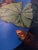 Contemporary Spotlight On Summer by Deb Komitor | Oil on Cradle Board Koi fish among lily pads in water. For Sale - Image 3 of 5