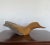 2000 - 2009 Vintage Carved Driftwood Mallard Duck Sculpture in Myrtle by Glenn Dobrusky For Sale - Image 5 of 10