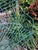 1970s Curvaceous Green-Painted Metal Garden Bench Seating Three For Sale In San Francisco - Image 6 of 6