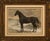 Russian Half-Blood Horse Antique Chromolithograph by Otto Eerelman, 1898 This elegant equestrian chromolithograph depicts...
