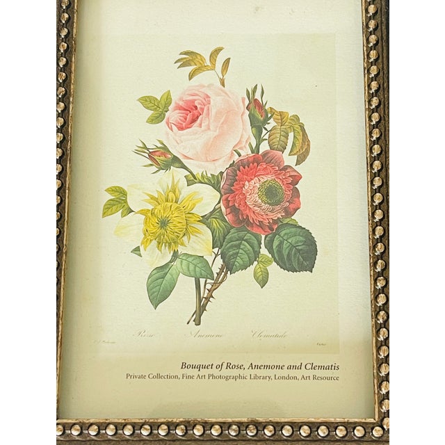 Small Chromolithograph botanical roses after P.J.Redoute , framed.