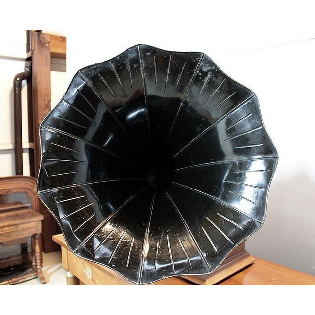 20th Century Horn Gramophone For Sale - Image 4 of 14