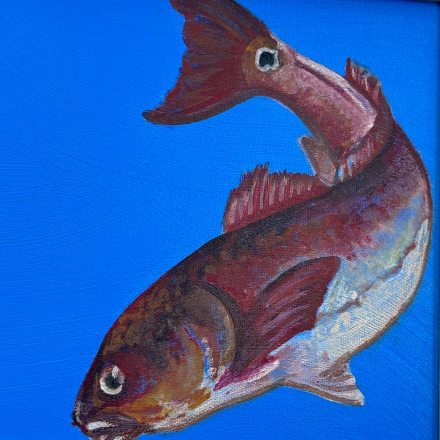 Original signed contemporary oil painting depicting a single fish in a graceful looping composition against a luminous...