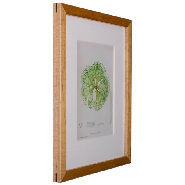 Late 19th Century Bradbury Seaweed Prints in Hand-Crafted Frames - Set of 3 For Sale - Image 5 of 6