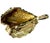 Vintage 14k Yellow Gold Seashell Bracelet For Sale In Tampa - Image 6 of 8
