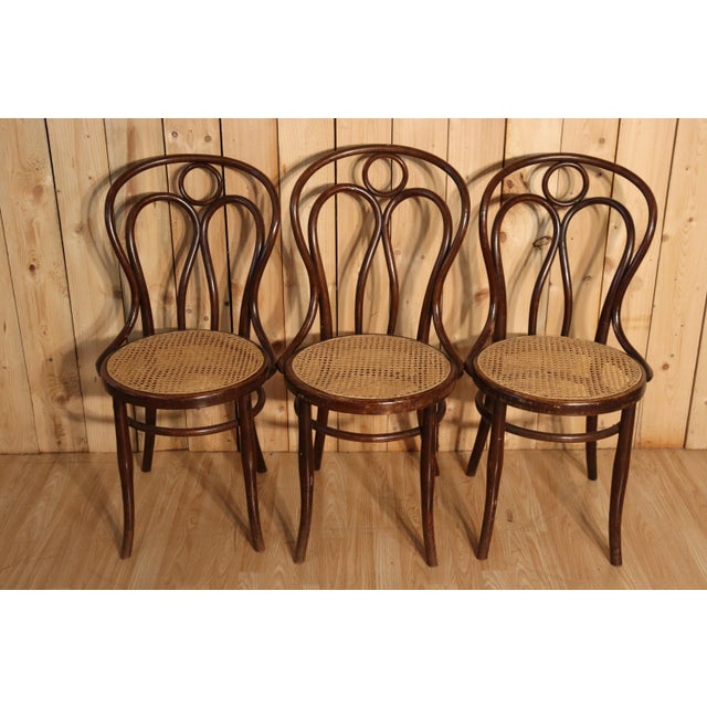 Antique Angel Wing Model Bistro Chairs by Hofmann, 1900, Set of 6 For Sale - Image 3 of 9