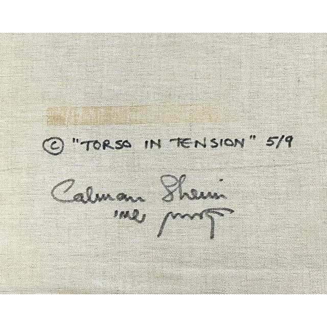 Calman Shemi “Torso in Tension” Soft Painting Tapestry by Calman Shemi For Sale - Image 4 of 9