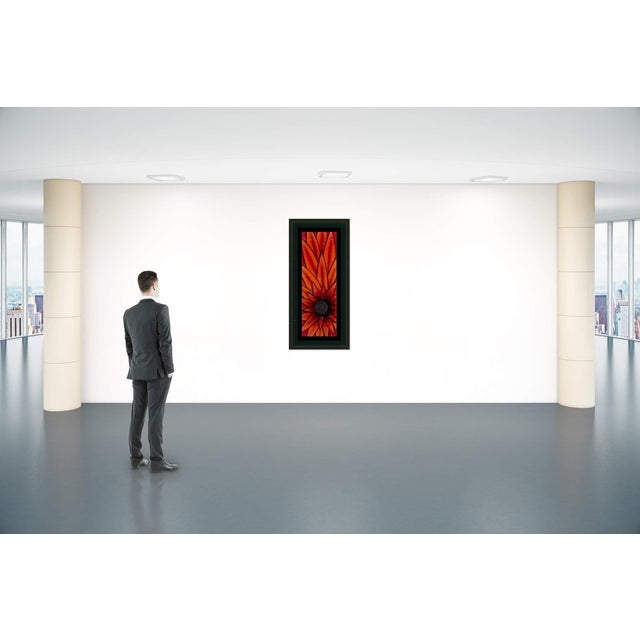 Contemporary Storm, Justin- Orange Dawn For Sale - Image 3 of 3
