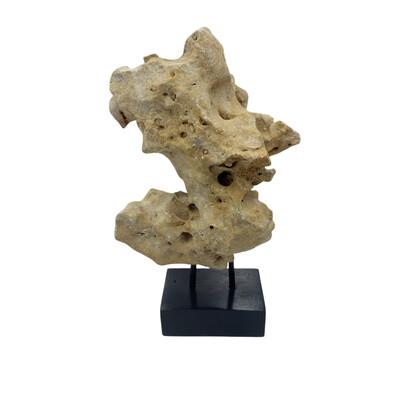 Tribal Indonesian Coral Stone On Teak Stand For Sale - Image 3 of 5