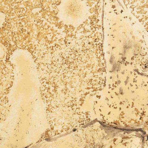 1970s Limited Edition Framed Homage to Albrecht Dürer Poster after Salvador Dalí, 1970s For Sale - Image 5 of 13